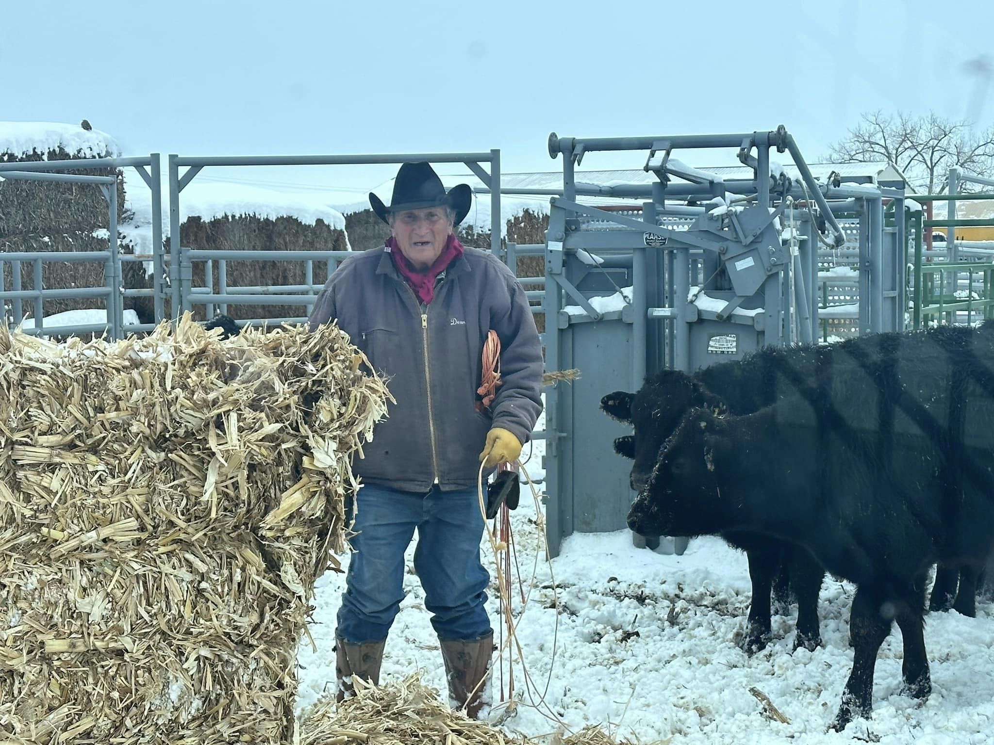 Dean out Feeding Calves  at Flying A Wagyu, Located in Northern Colorado 